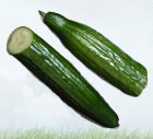 G�rkur