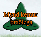 Bl�berjasulta L�til